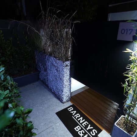Barneys B&B Cercola Kültér fotó