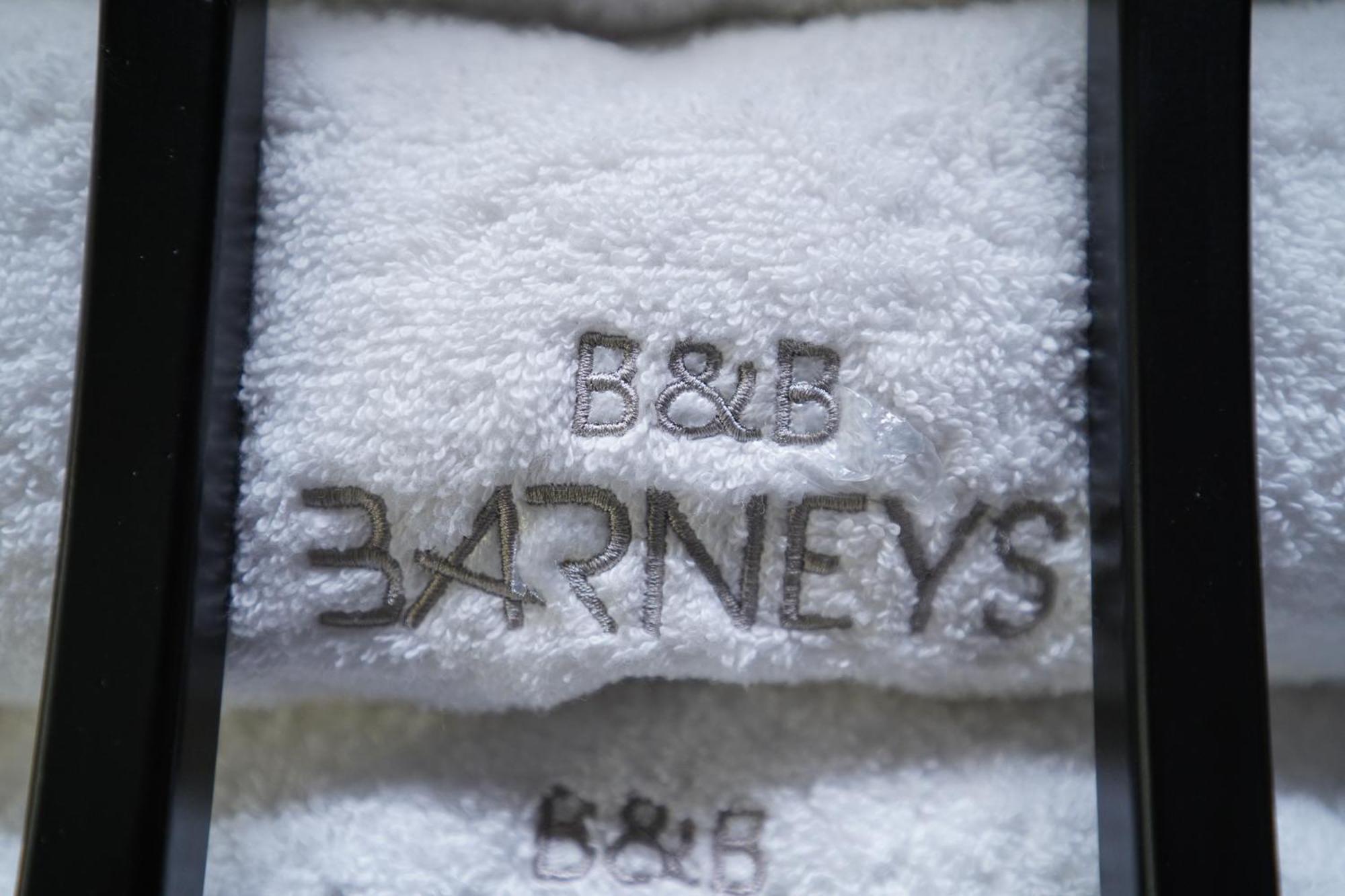 Barneys B&B Cercola Kültér fotó